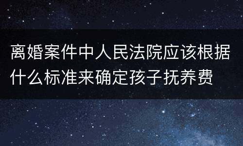 离婚案件中人民法院应该根据什么标准来确定孩子抚养费