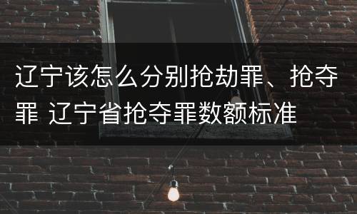 辽宁该怎么分别抢劫罪、抢夺罪 辽宁省抢夺罪数额标准