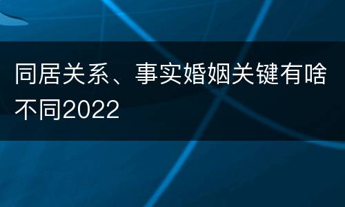 同居关系、事实婚姻关键有啥不同2022