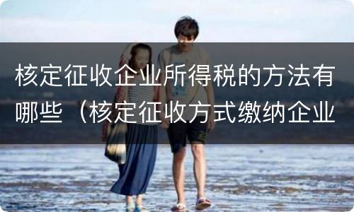 核定征收企业所得税的方法有哪些（核定征收方式缴纳企业所得税）