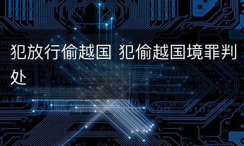 犯放行偷越国 犯偷越国境罪判处