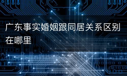 广东事实婚姻跟同居关系区别在哪里