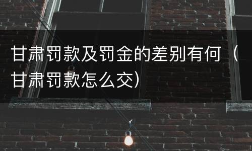 甘肃罚款及罚金的差别有何（甘肃罚款怎么交）