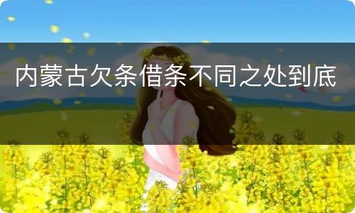 内蒙古欠条借条不同之处到底