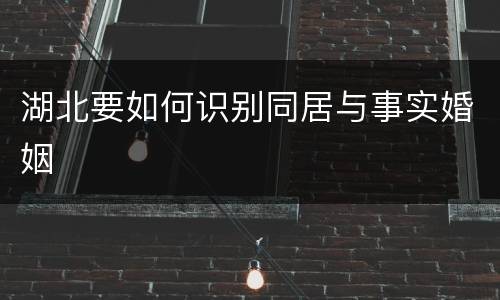 湖北要如何识别同居与事实婚姻