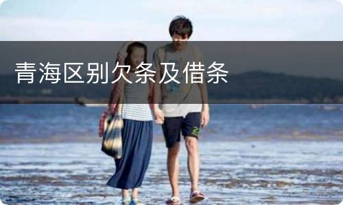 青海区别欠条及借条