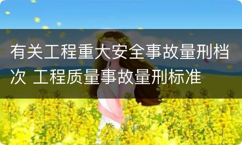 有关工程重大安全事故量刑档次 工程质量事故量刑标准