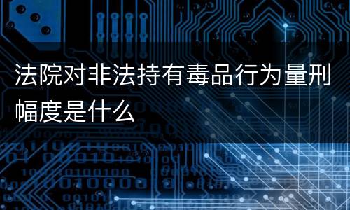 法院对非法持有毒品行为量刑幅度是什么
