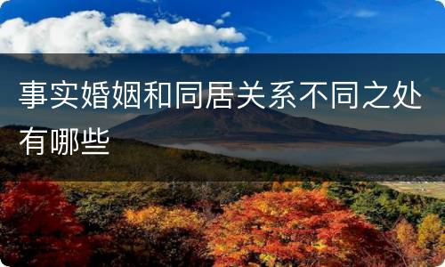 事实婚姻和同居关系不同之处有哪些