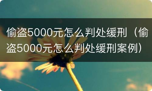 偷盗5000元怎么判处缓刑（偷盗5000元怎么判处缓刑案例）