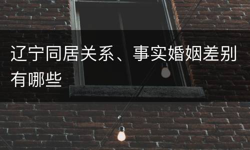 辽宁同居关系、事实婚姻差别有哪些