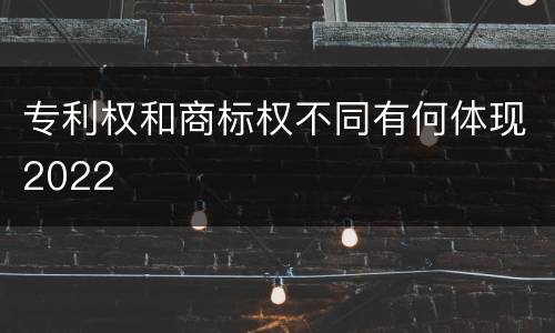 专利权和商标权不同有何体现2022