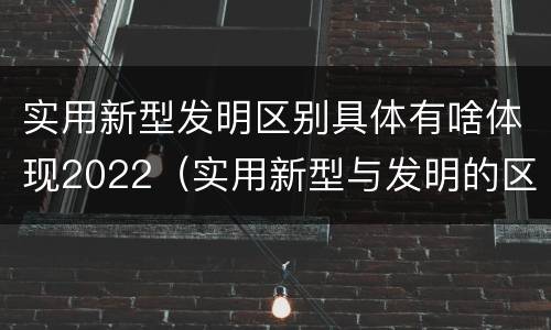 实用新型发明区别具体有啥体现2022（实用新型与发明的区别是什么）
