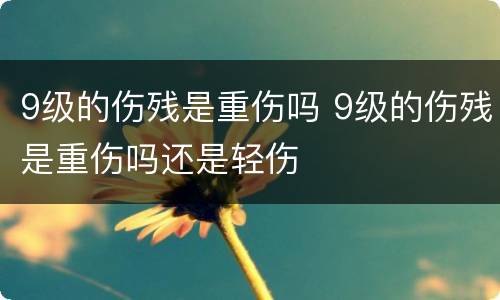 9级的伤残是重伤吗 9级的伤残是重伤吗还是轻伤