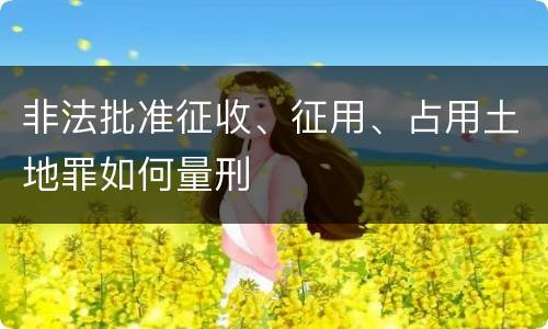 非法批准征收、征用、占用土地罪如何量刑