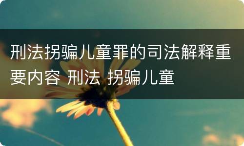 刑法拐骗儿童罪的司法解释重要内容 刑法 拐骗儿童