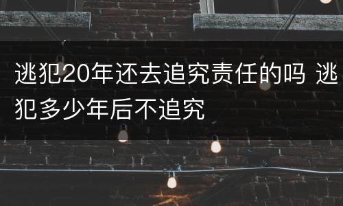 逃犯20年还去追究责任的吗 逃犯多少年后不追究