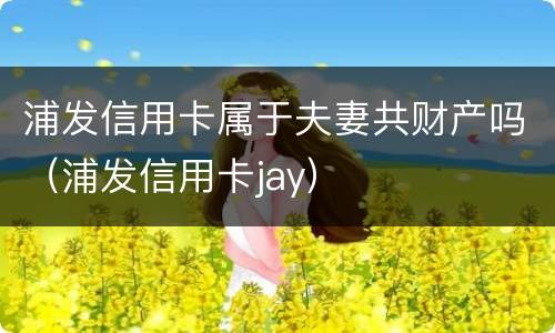 浦发信用卡属于夫妻共财产吗（浦发信用卡jay）