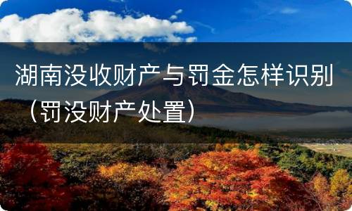 湖南没收财产与罚金怎样识别（罚没财产处置）