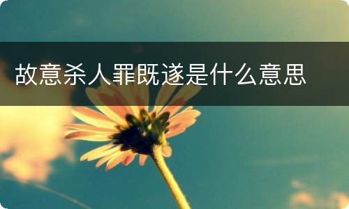 故意杀人罪既遂是什么意思