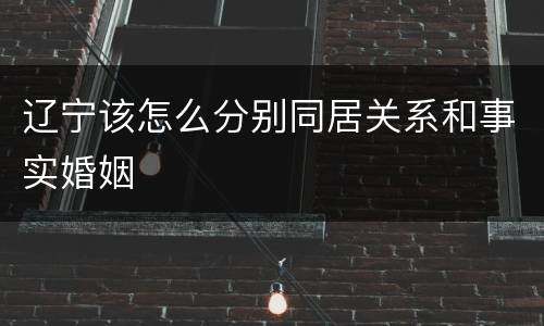辽宁该怎么分别同居关系和事实婚姻
