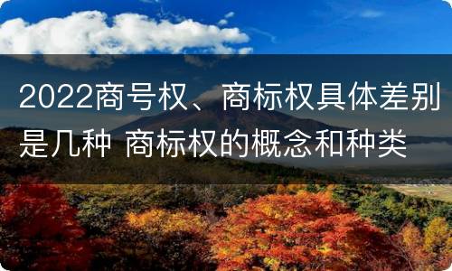 2022商号权、商标权具体差别是几种 商标权的概念和种类