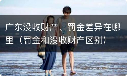 广东没收财产、罚金差异在哪里（罚金和没收财产区别）