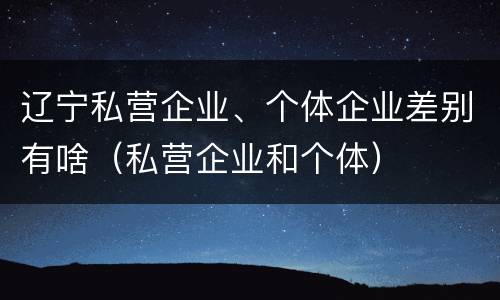 辽宁私营企业、个体企业差别有啥（私营企业和个体）