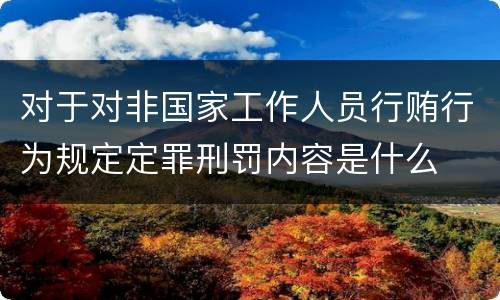 对于对非国家工作人员行贿行为规定定罪刑罚内容是什么