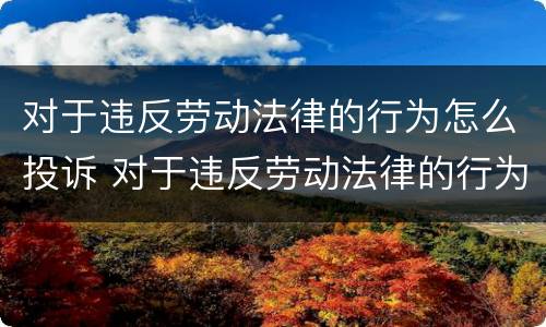 对于违反劳动法律的行为怎么投诉 对于违反劳动法律的行为怎么投诉电话