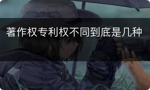 著作权专利权不同到底是几种