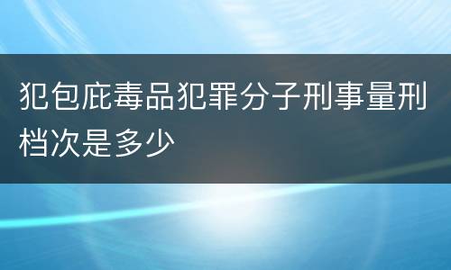 犯包庇毒品犯罪分子刑事量刑档次是多少
