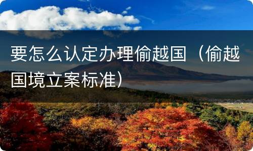 要怎么认定办理偷越国（偷越国境立案标准）
