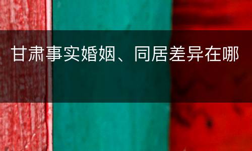 甘肃事实婚姻、同居差异在哪