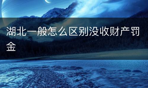 湖北一般怎么区别没收财产罚金