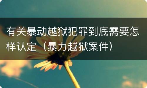 有关暴动越狱犯罪到底需要怎样认定（暴力越狱案件）