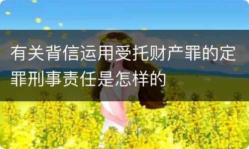 有关背信运用受托财产罪的定罪刑事责任是怎样的