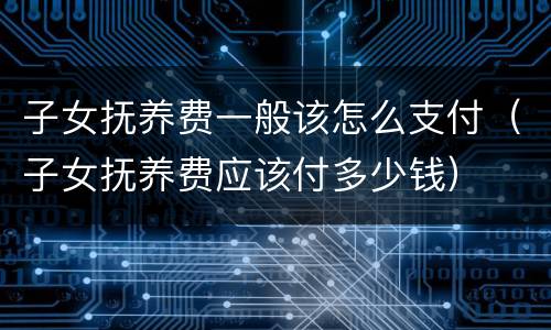 子女抚养费一般该怎么支付（子女抚养费应该付多少钱）