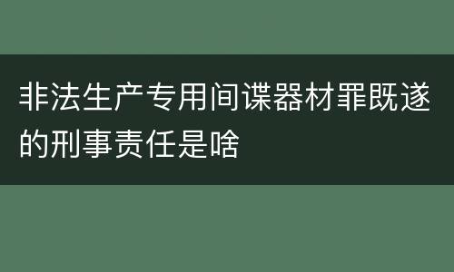 非法生产专用间谍器材罪既遂的刑事责任是啥
