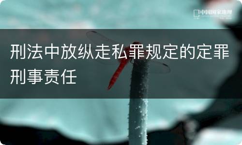 刑法中放纵走私罪规定的定罪刑事责任