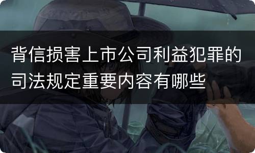 背信损害上市公司利益犯罪的司法规定重要内容有哪些