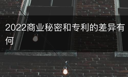 2022商业秘密和专利的差异有何