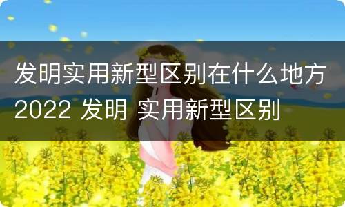 发明实用新型区别在什么地方2022 发明 实用新型区别