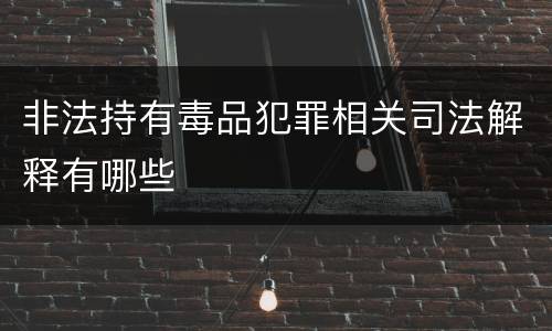 非法持有毒品犯罪相关司法解释有哪些