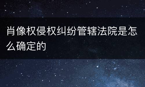 肖像权侵权纠纷管辖法院是怎么确定的