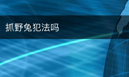 抓野兔犯法吗