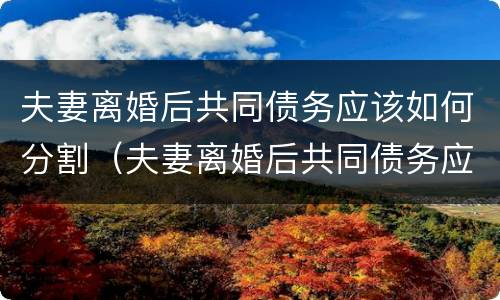 夫妻离婚后共同债务应该如何分割（夫妻离婚后共同债务应该如何分割财产）
