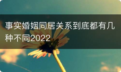 事实婚姻同居关系到底都有几种不同2022