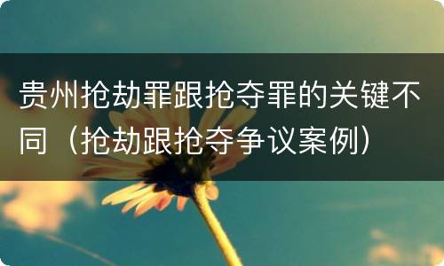 贵州抢劫罪跟抢夺罪的关键不同（抢劫跟抢夺争议案例）