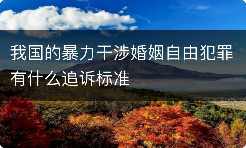 我国的暴力干涉婚姻自由犯罪有什么追诉标准